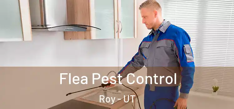  Flea Pest Control Roy - UT