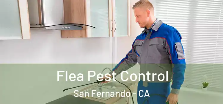  Flea Pest Control San Fernando - CA