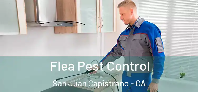  Flea Pest Control San Juan Capistrano - CA