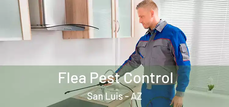 Flea Pest Control San Luis - AZ