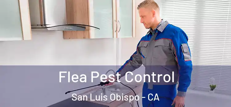  Flea Pest Control San Luis Obispo - CA