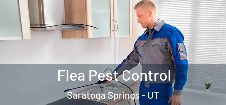  Flea Pest Control Saratoga Springs - UT