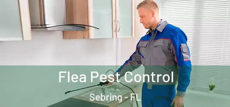 Flea Pest Control Sebring - FL