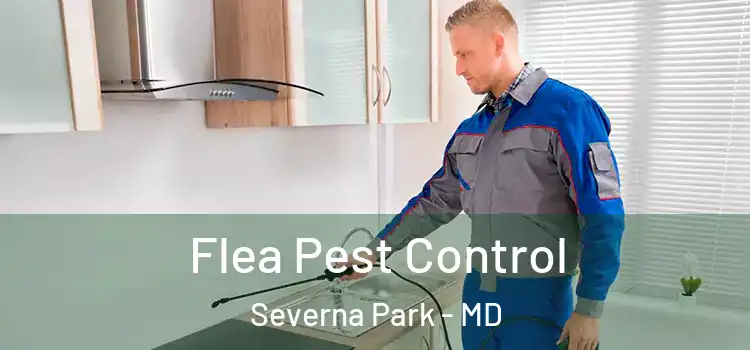  Flea Pest Control Severna Park - MD