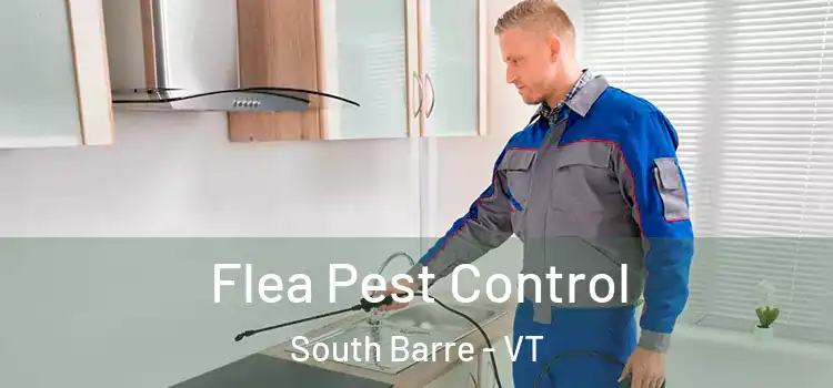  Flea Pest Control South Barre - VT