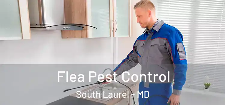  Flea Pest Control South Laurel - MD