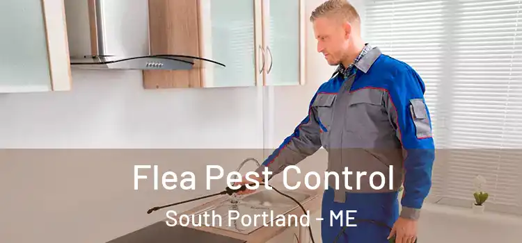  Flea Pest Control South Portland - ME