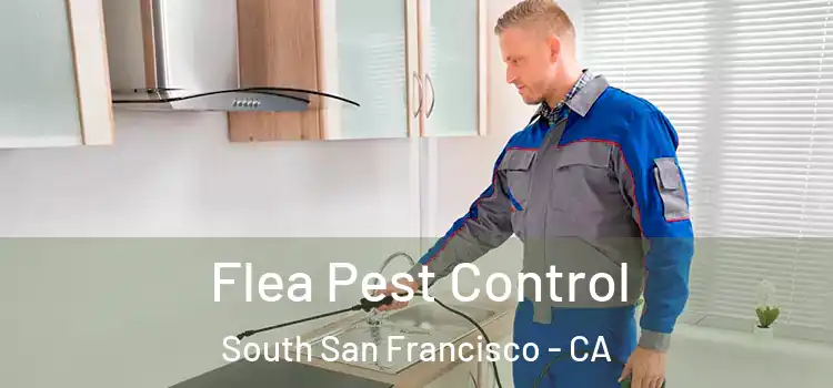 Flea Pest Control South San Francisco - CA