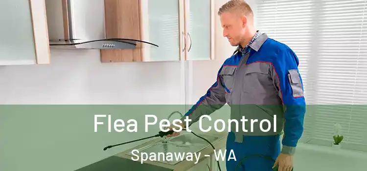  Flea Pest Control Spanaway - WA