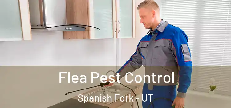  Flea Pest Control Spanish Fork - UT