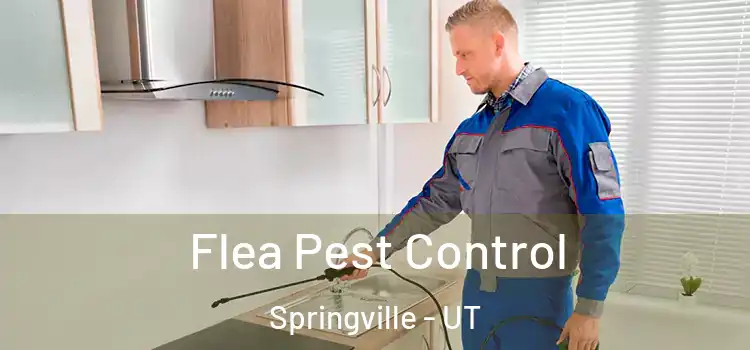  Flea Pest Control Springville - UT