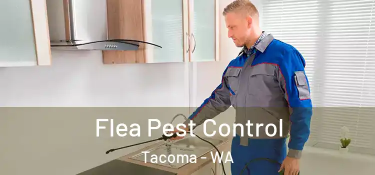  Flea Pest Control Tacoma - WA
