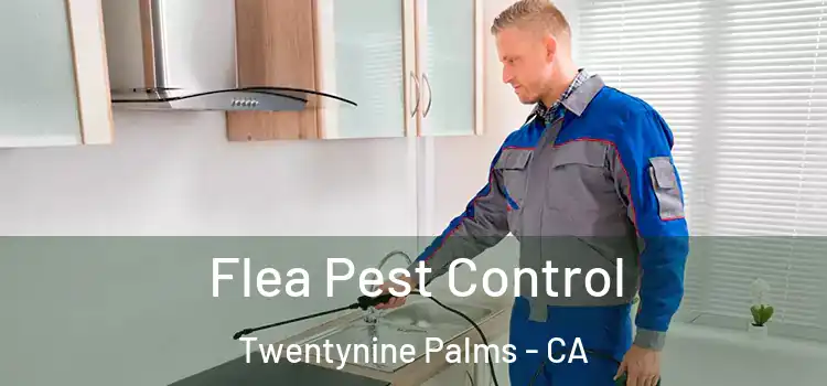  Flea Pest Control Twentynine Palms - CA