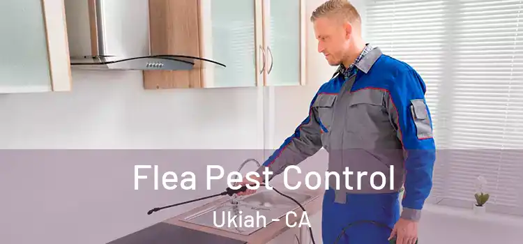  Flea Pest Control Ukiah - CA