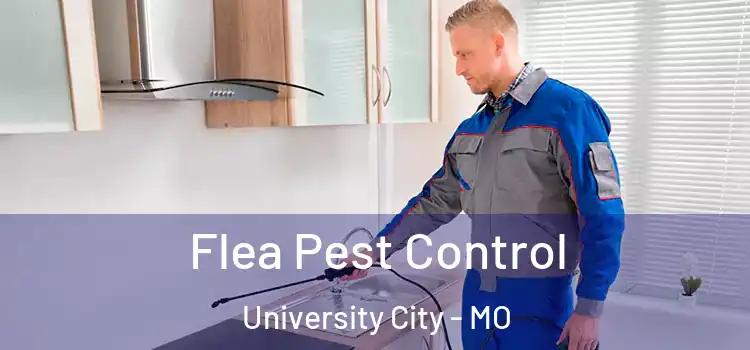  Flea Pest Control University City - MO