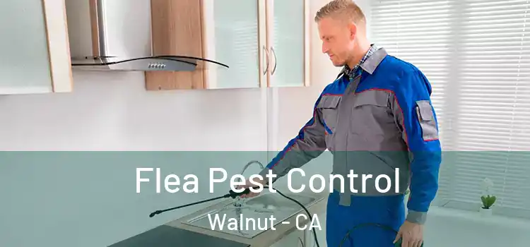 Flea Pest Control Walnut - CA