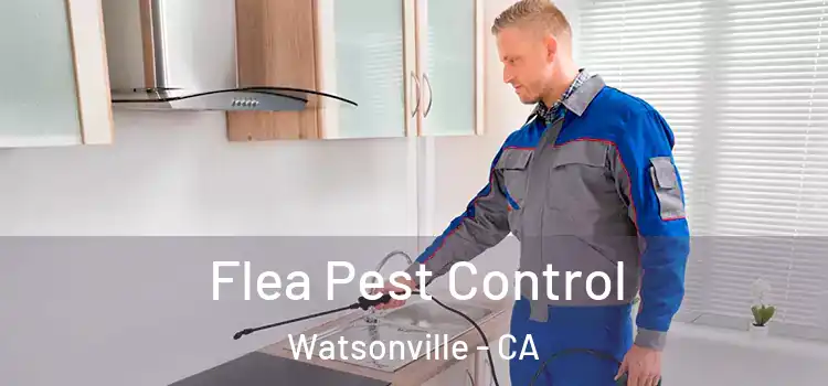  Flea Pest Control Watsonville - CA