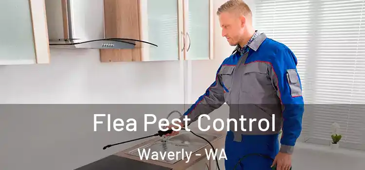  Flea Pest Control Waverly - WA