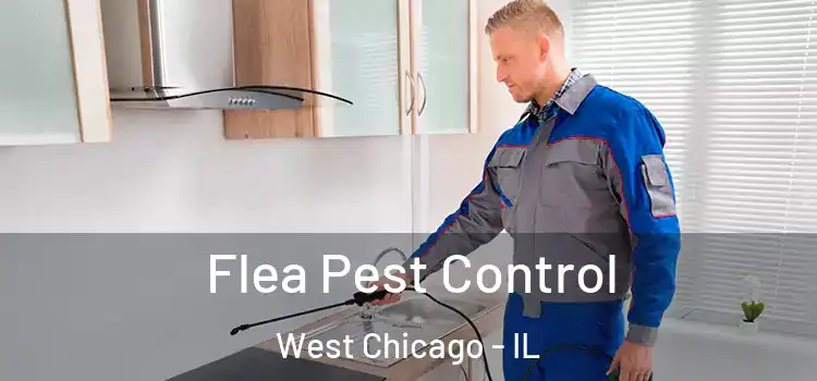 Flea Pest Control West Chicago - IL
