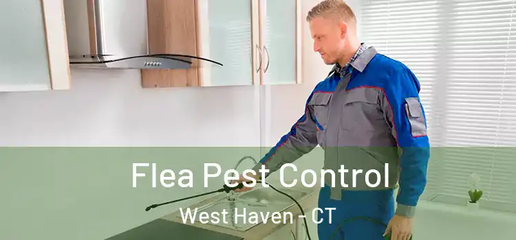  Flea Pest Control West Haven - CT