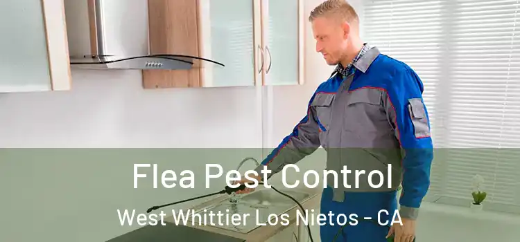  Flea Pest Control West Whittier Los Nietos - CA