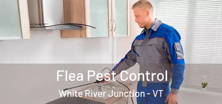  Flea Pest Control White River Junction - VT