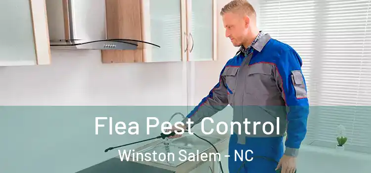  Flea Pest Control Winston Salem - NC