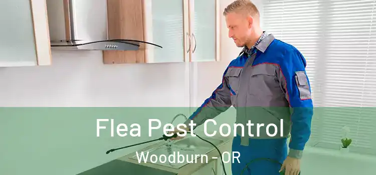  Flea Pest Control Woodburn - OR