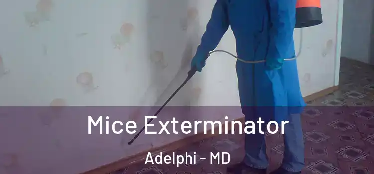 Mice Exterminator Adelphi - MD