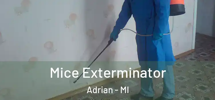 Mice Exterminator Adrian - MI