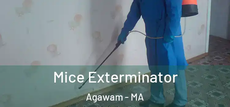  Mice Exterminator Agawam - MA