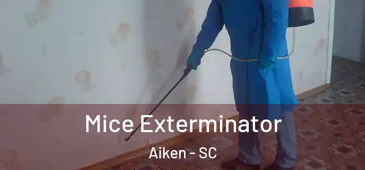  Mice Exterminator Aiken - SC