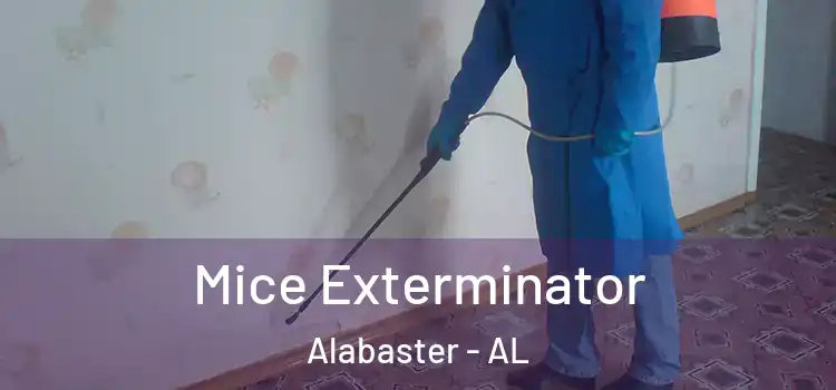 Mice Exterminator Alabaster - AL