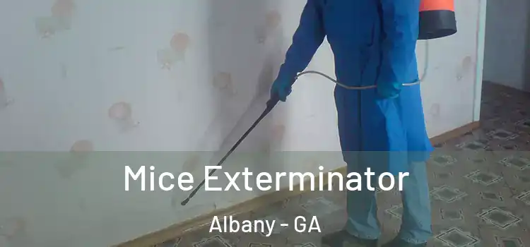  Mice Exterminator Albany - GA