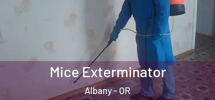  Mice Exterminator Albany - OR