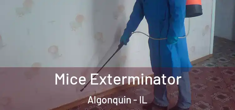 Mice Exterminator Algonquin - IL