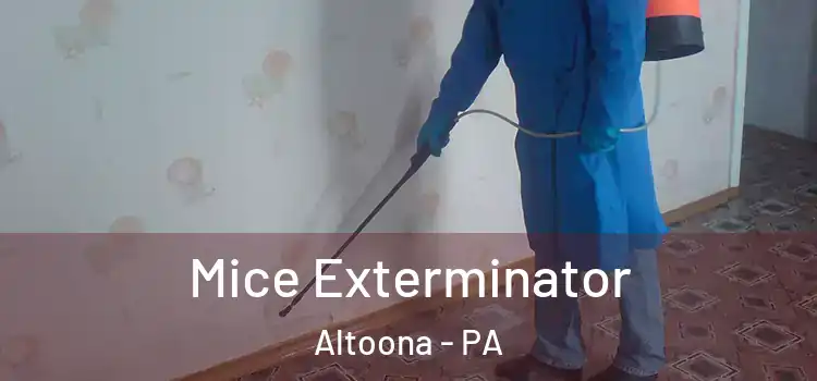  Mice Exterminator Altoona - PA