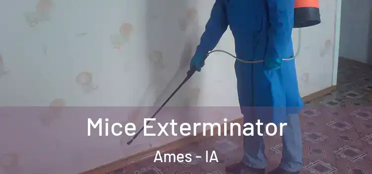  Mice Exterminator Ames - IA