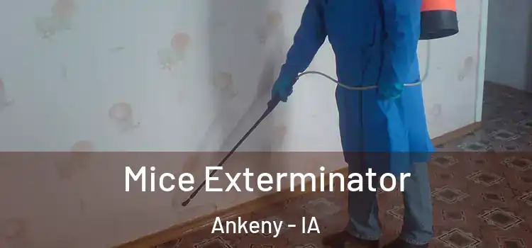 Mice Exterminator Ankeny - IA