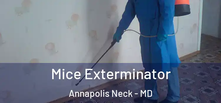 Mice Exterminator Annapolis Neck - MD