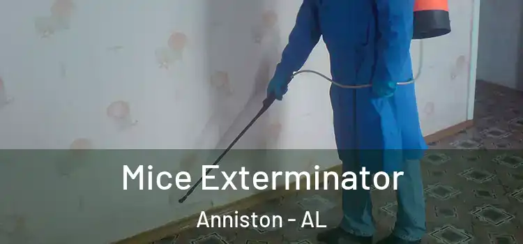 Mice Exterminator Anniston - AL