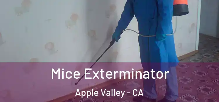  Mice Exterminator Apple Valley - CA