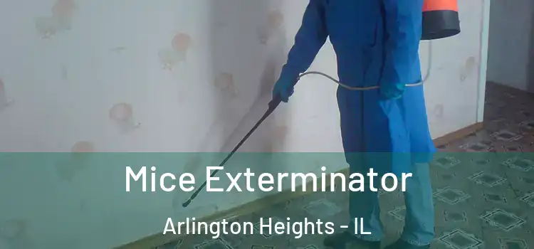 Mice Exterminator Arlington Heights - IL