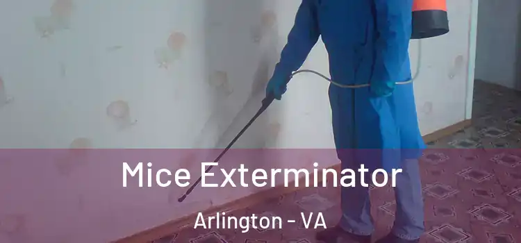Mice Exterminator Arlington - VA