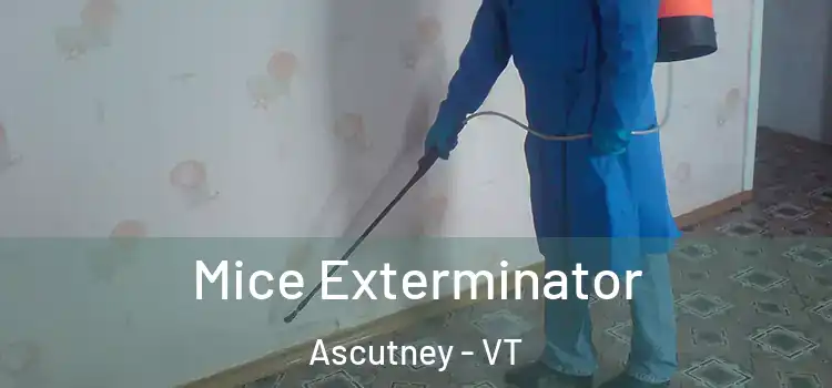  Mice Exterminator Ascutney - VT