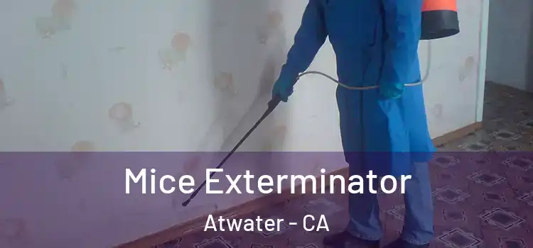 Mice Exterminator Atwater - CA