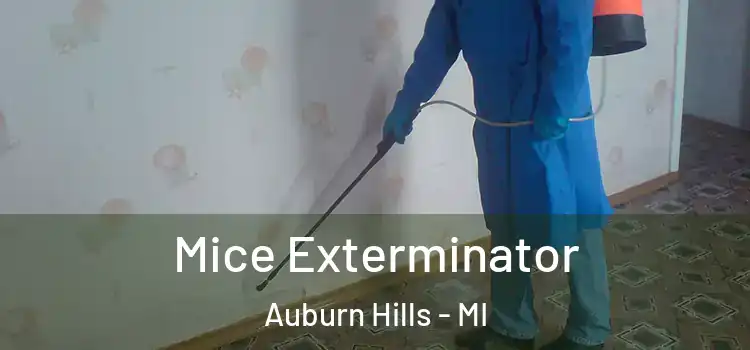  Mice Exterminator Auburn Hills - MI