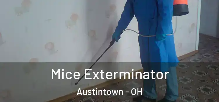  Mice Exterminator Austintown - OH