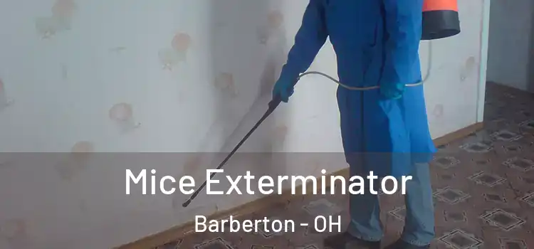 Mice Exterminator Barberton - OH