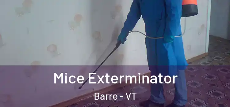 Mice Exterminator Barre - VT